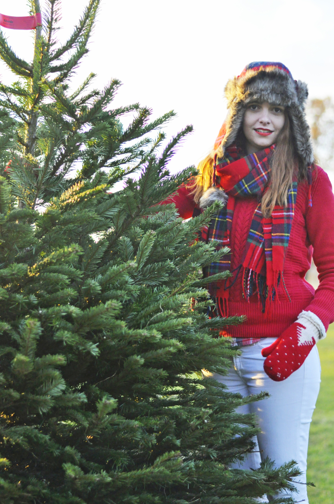 Christmas_tree_picking