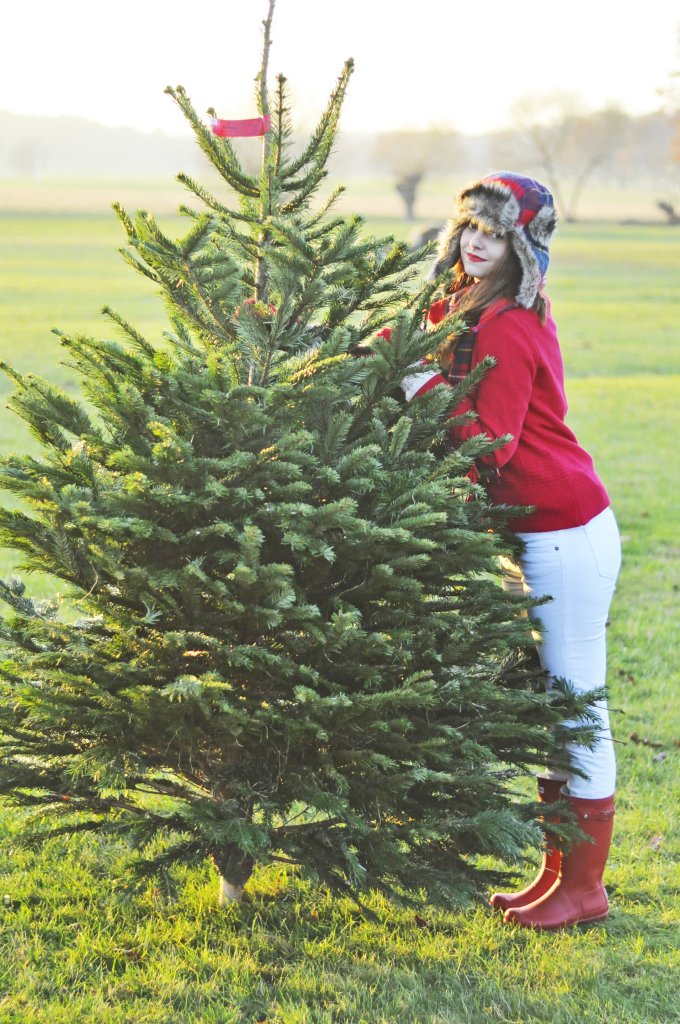 red_white_outfit_tree